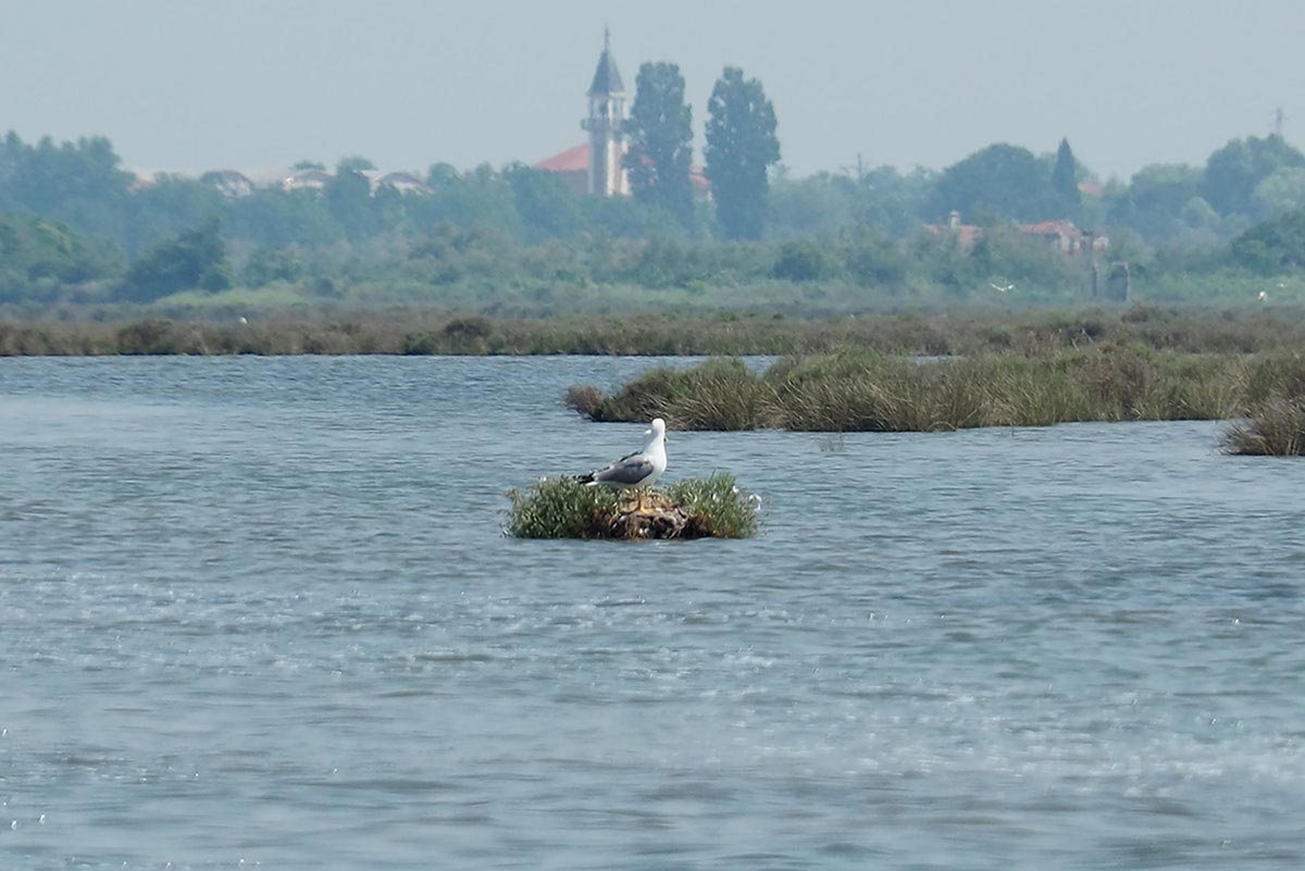 Iniziativa Blue Valley - Acqua Levico ad impatto zero sull'ambiente