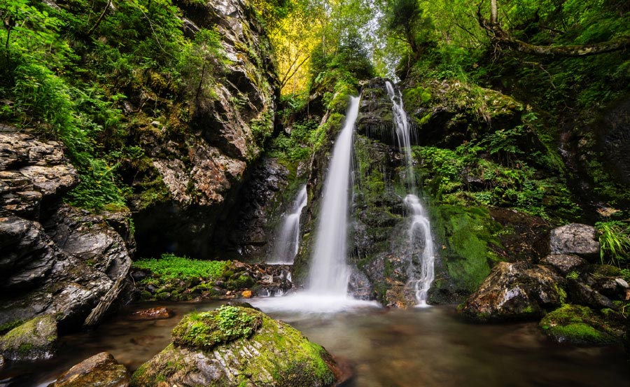 Waterfall immersed in the nature of Trentino Alto Adige